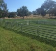 Sheep / Pig Panels