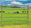 Economy Cattle Panel