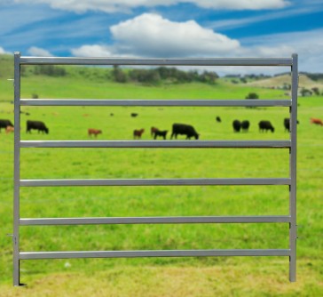 Economy Cattle Panel