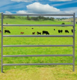 Cattle-Panel