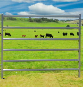 Economy Cattle Panel