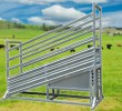 Heavy Duty Loading Ramp (Adjustable)