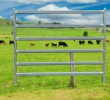 Heavy Duty Cattle Panel