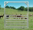 Goat/Alpaca Gate 2100 High Frame