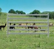 Goat/Alpaca Yard Panels