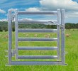 Sheep Yard Gate 1000