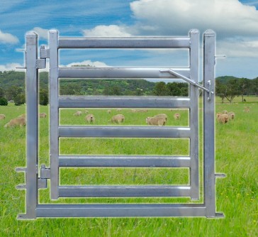 Sheep Yard Gate 1000