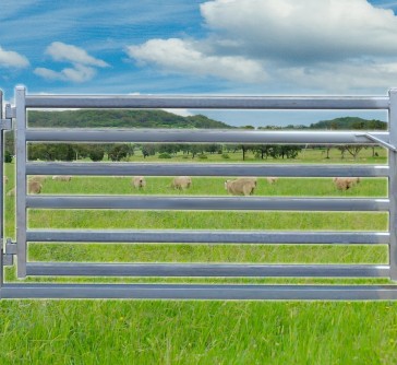 Sheep Yard Gate 2100