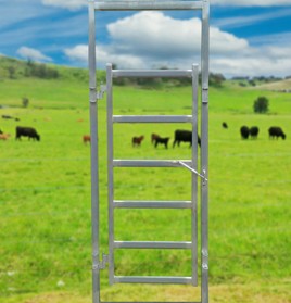 cattle-man-gate