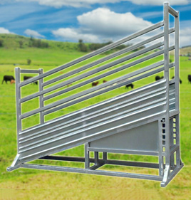 Heavy Duty Loading Ramp (Adjustable)