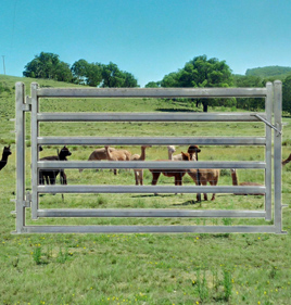 Goat/Alpaca Gate 2100