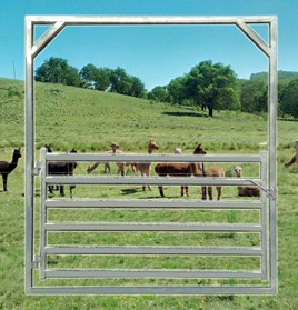 goat-alpaca-gate2100HF