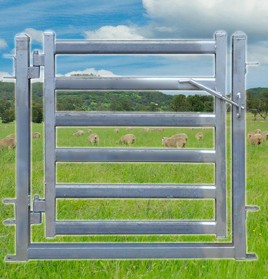 sheep-yard-gate1000