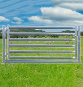 Sheep Yard Gate 2100