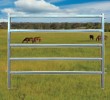 Horse Yard Panel