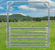 Sheep Yard Gate 2100 High Frame