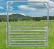 Sheep Yard Gate 2100 High Frame