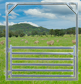 Sheep Yard Gate 2100 High Frame