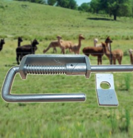 SLAM GOAT