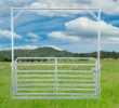 Economy Sheep Yard Gate