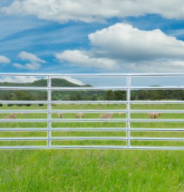 Economy Sheep Yard Panel