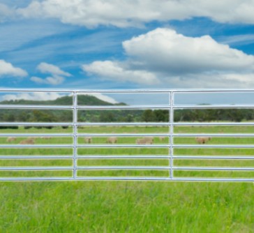 Economy Sheep Yard Panel