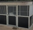 Horse Stables