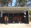 Horse Stables